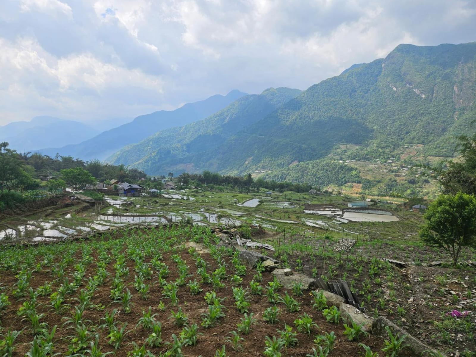 Sue Pa Family Trekking Homestay Sapa Exterior foto